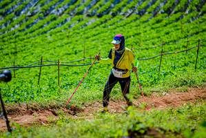 BIB: 1616
                            <button type="button" onclick="openModal(19163623)" class="btn btn-primary btn-sm float-right btn-popup" data-toggle="modal" data-target=".modal-high-quality">
                        <i class="fas fa-shopping-cart"></i> Add to Cart
                    </button>
                                            <button type="button" onclick="isThisMe(19163623, true)" class="btn btn-success btn-sm float-right btn-popup btn-isme hidden" data-toggle="tooltip" data-placement="bottom" title="นี่คือรูปของคุณใช่ไหม คลิกที่นี่เพื่อเอาเข้าอัลบั้ม">
                        <i class="fas fa-plus"></i> Add to album
                    </button>
                    <button type="button" onclick="isThisMe(19163623, false)" class="btn btn-warning btn-sm float-right btn-popup btn-isnotme hidden">
                        <i class="fas fa-ban"></i> Remove from album
                    </button>